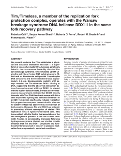 Tim/Timeless, a member of the replication fork