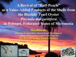 A Revival of &ldquo;Half-Pearls&rdquo; as a Value