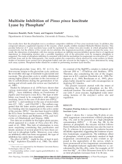 Multisite Inhibition of Pinus pinea Isocitrate Lyase