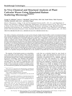 In Vivo Chemical and Structural Analysis of Plant