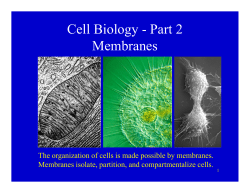 Cell Biology - Part 2 gy Membranes