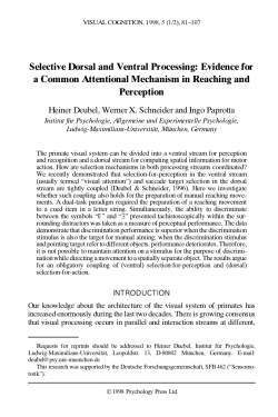 Selective Dorsal and Ventral Processing: Evidence