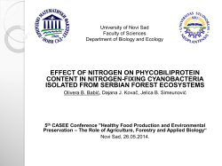 effect of nitrogen on phycobiliprotein content in nitrogen