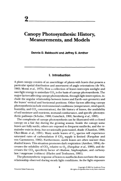 Canopy Photosynthesis: History, Measurements, and Models