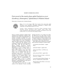 First record of the mealy plum aphid Hyalopterus pruni (Geoffroy