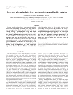 Use of egocentric information for navigation by ants