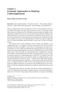 Economic Approaches to Studying Underemployment
