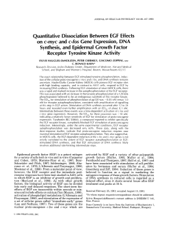 Quantitative dissociation between EGF effects on c - LINK