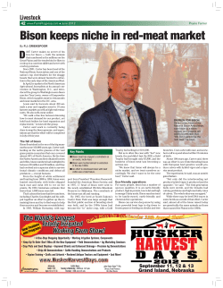 Bison keeps niche in red