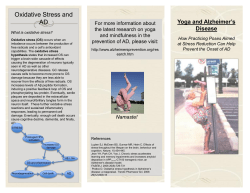 Brigit High AD Yoga Correct