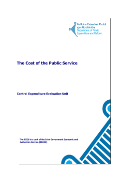 The Cost of the Public Service - Irish Government Economic and
