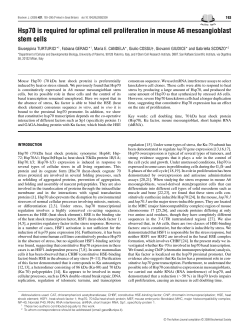 Hsp70 is required for optimal cell proliferation in mouse A6