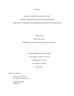 thesis color, carotenoid content and sensory perceptions in potato