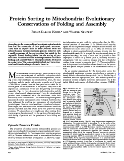 Protein Sorting to Mitochondria