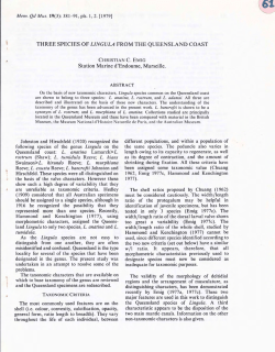 THREE SPECIES OF LINGULA FROM THE