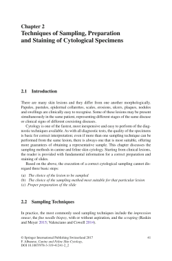 Sample pages 1 PDF
