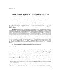 Histoarchitectural Features of the Hepatopancreas of the