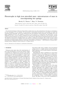 Phototrophs in high iron microbial mats: microstructure of mats in