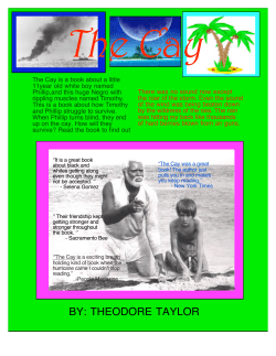 livvie the cay poster.cwk