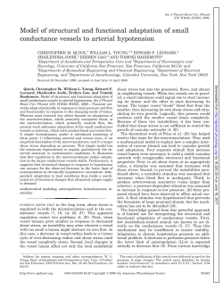 Model of structural and functional adaptation of small conductance