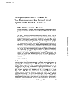 Microspectrophotometric Evidence for Two Photointerconvertible