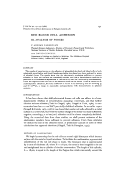red blood cell adhesion - Journal of Cell Science