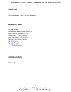 Running head Non-redundant zein function in