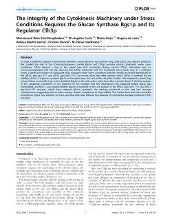 The Integrity of the Cytokinesis Machinery under Stress