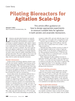 Piloting Bioreactors for Agitation Scale-Up
