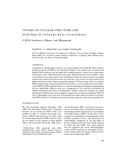 function in tetrahymena pyriformis