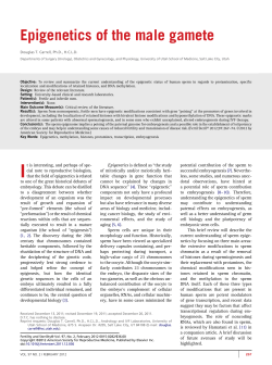 Epigenetics of the male gamete
