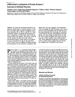 Differential Localization of Protein Kinase C Isozymes in Retinal