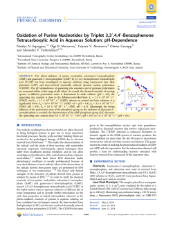 Oxidation of Purine Nucleotides by Triplet 3, 3&prime;, 4, 4