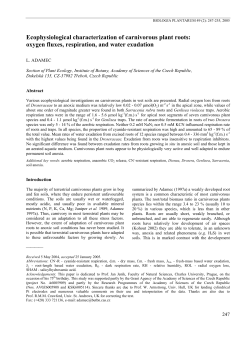 Ecophysiological characterization of carnivorous plant roots: oxygen