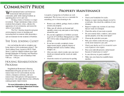 Property Maintenance