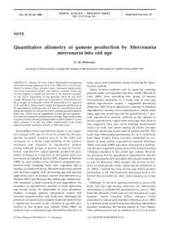 Quantitative allometry of gamete production by Mercenaria