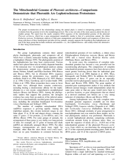 The Mitochondrial Genome of Phoronis