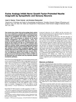 Purine Analogs Inhibit Nerve Growth Factor
