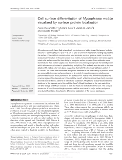 Cell surface differentiation of Mycoplasma mobile visualized by