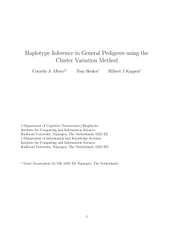 Haplotype Inference in General Pedigrees using the Cluster