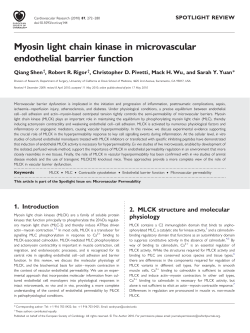Myosin light chain kinase in microvascular endothelial barrier function