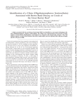 Identification of a Ciliate - UQ eSpace