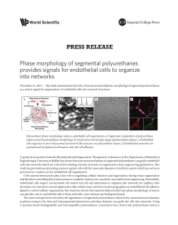 Phase morphology of segmental polyurethanes