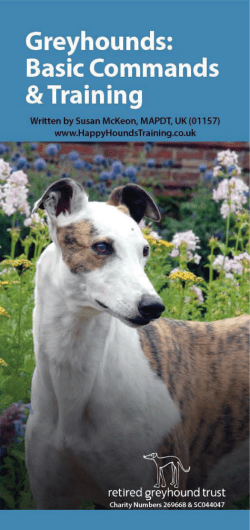 Commands and Behaviour Leaflet