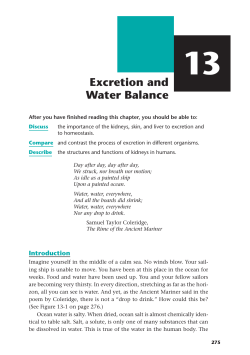 Excretion and Water Balance