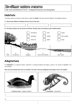 Integrated science field teaching - Is-Simar (form 1)