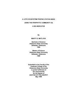 Thesis-1996D-M433L