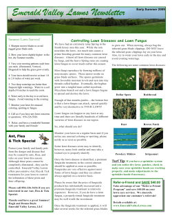 2009 Early Summer Newsletter