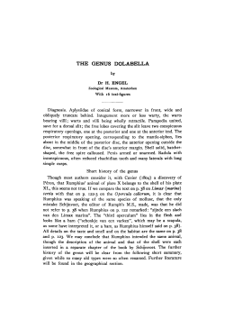 the genus dolabella - UvA-DARE