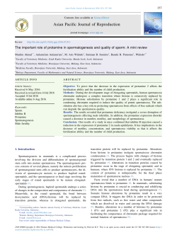 The important role of protamine in spermatogenesis and quality of